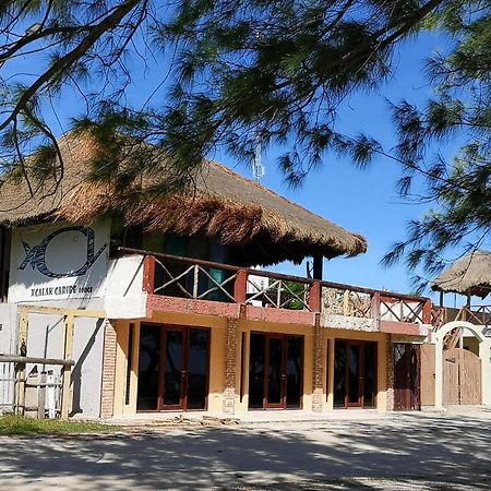 Xcalak Caribe Lodge מראה חיצוני תמונה