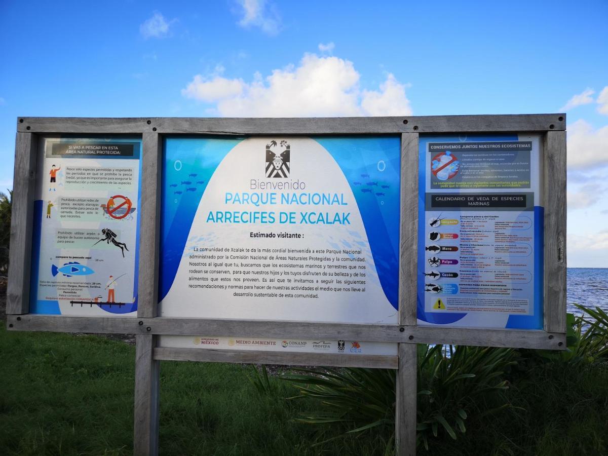 Xcalak Caribe Lodge מראה חיצוני תמונה